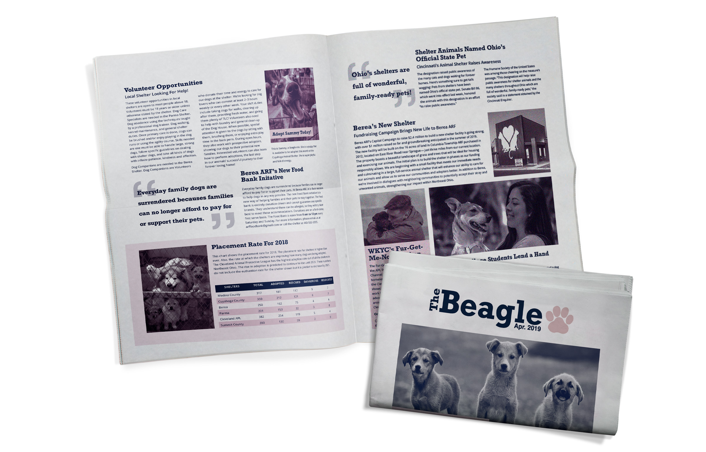The Beagle Monthly Newletter.